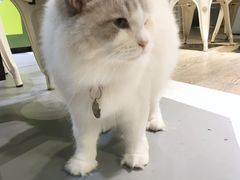 -小时光咖啡馆(开森度假森林店)