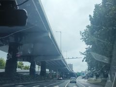 -宝钢体育中心-游泳馆