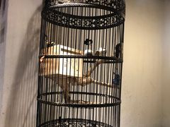 -清真·京华源铜锅涮肉(丰庆店)