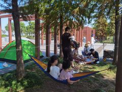 -春花秋色城市公园