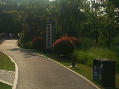 -九科绿洲