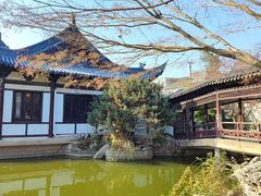 -常熟方塔园