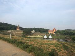 -大塘金香草谷