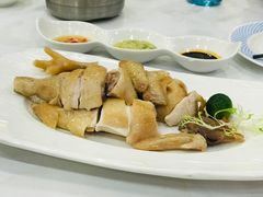 海南文昌鸡-东江海鲜酒家(艺都分店)