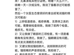 -瑞鹏宠物医院·爱宠堂·骨外专科(西荷分院)