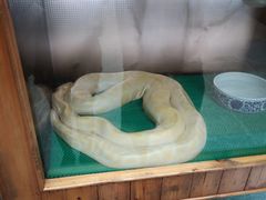 -上海大自然野生昆虫馆(东方明珠·爬宠昆虫探索中心)