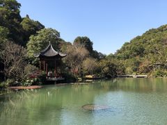 -云溪植物园