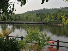 -黄陂区野村谷景区