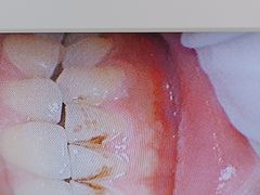 -深圳富茂格伦菲尔口腔门诊部(龙华清湖总院)