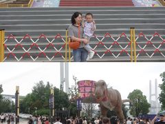 -重庆国际马戏城