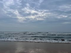 -日照海滨国家森林公园