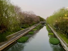 -运河游船(武林门码头)