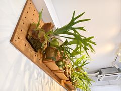 -1861意大利餐厅(来福士店)