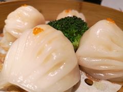 -粤凤佬