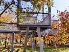 -柳鹭田园区