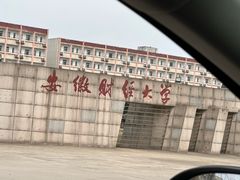 -新珠城鱼坊(龙湖店)
