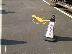 -大宁郁金香公园-停车场