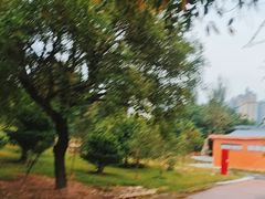 -广西壮族自治区药用植物园