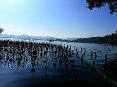 -西湖天地