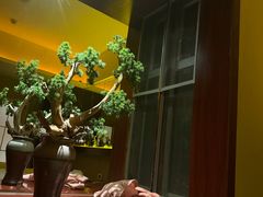 -素可汤泉(天宝大厦店)