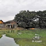 大风车和石头桥是电影云水谣取景地