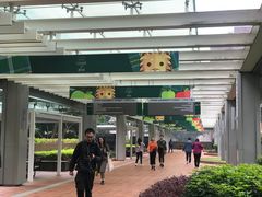 -香港大学