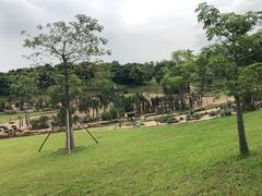 -东莞植物园