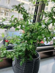 -相约芊艺护肤造型