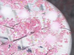 -首开·龙湖成都西宸天街