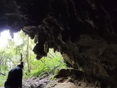 -怀托摩萤火虫洞