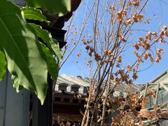 -VOYAGE COFFEE(杨梅竹店)