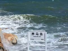 -养马岛旅游度假区