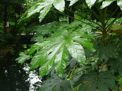 -成都杜甫草堂博物馆