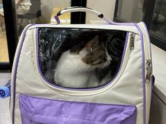 -瑞派宠物医院·犬猫全科·猫友好(宾水西道店)