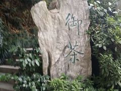 android_upload_pic-十八棵（老龙井）御茶园(老龙井店)