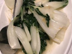 -峨嵋一派