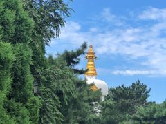 -护国法轮寺