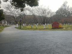 -范蠡湖公园