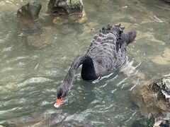 -北海海底世界