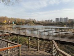 -郑州植物园