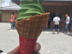 -豆政(金閣寺境内売店)