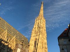 -斯蒂芬主教座堂(Stephansdom)