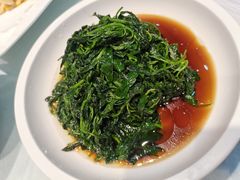 清炒菊花头-两户人家农家乐