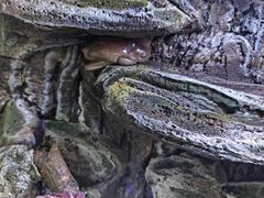 -上海昆虫博物馆