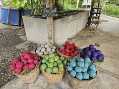 -大象粑粑造纸公园