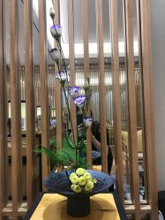-一本X目奈子日式单根美睫专业店