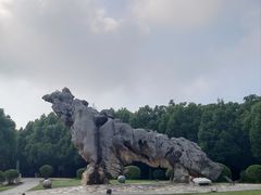 -南京市江宁方山