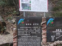 -黄山翡翠谷景区