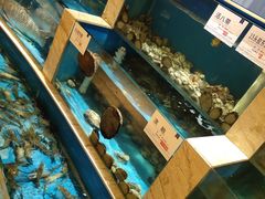 -福娣·金沙银贝海鲜火锅