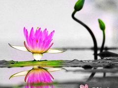 -白沙门生态公园